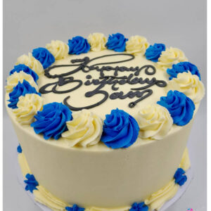 Swirl Double-Layered Cake