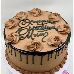 Choc Drip Double-Layered Cake